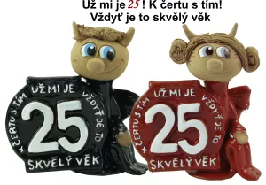 Narozeninová figurka - skvělý věk 25