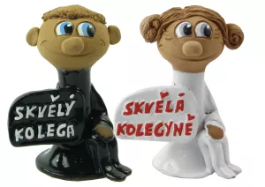 Kolega, kolegyně
