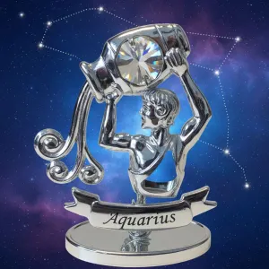 Postříbřené znamení zvěrokruhu – Vodnář (Aquarius)